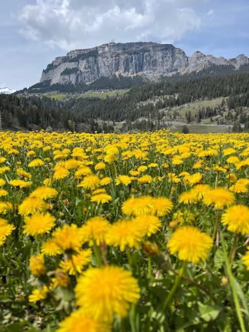 Wohnung Mit Fantastischer Aussicht Trin Екстер'єр фото