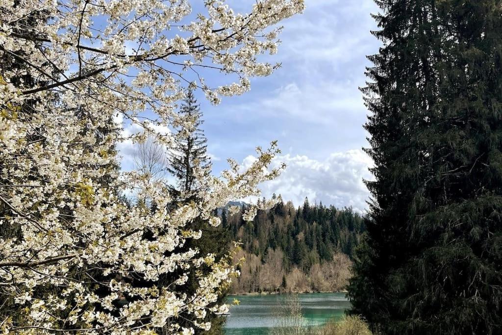 Wohnung Mit Fantastischer Aussicht Trin Екстер'єр фото